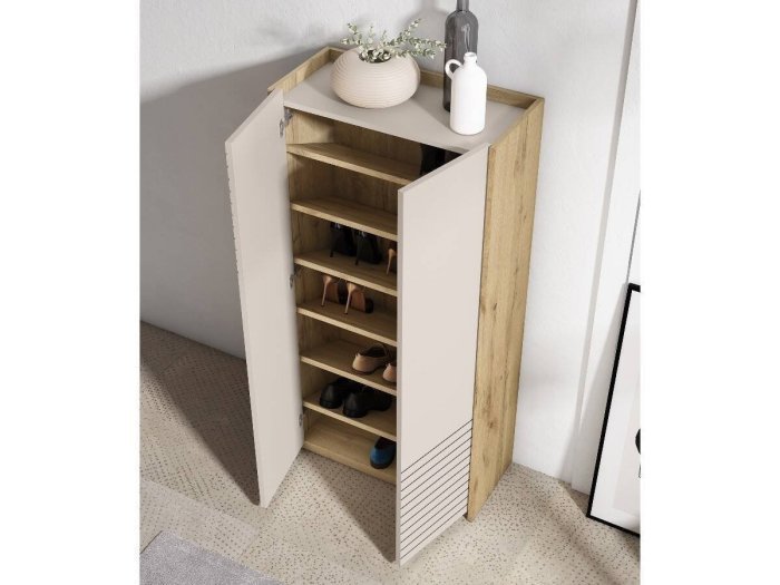 Armario zapatero de 2 puertas rectas...