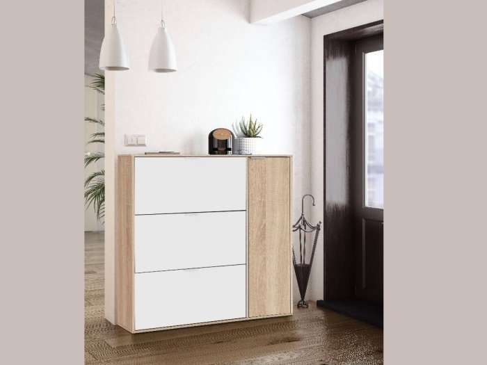 Zapatero 4 puertas modelo...