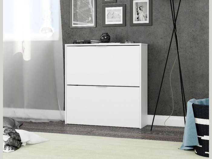 Armario zapatero 2 puertas...