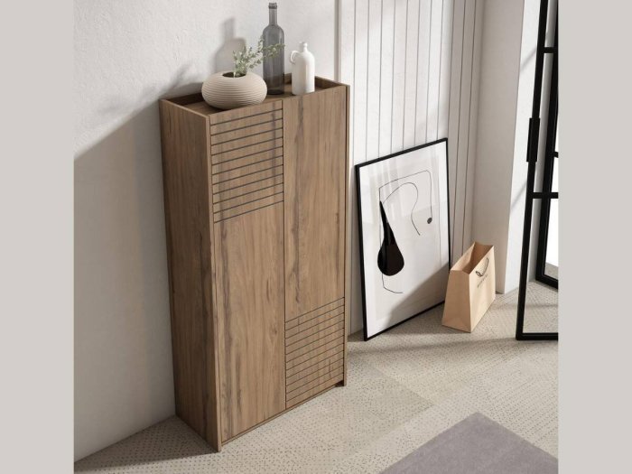 Armario zapatero de 2 puertas rectas...