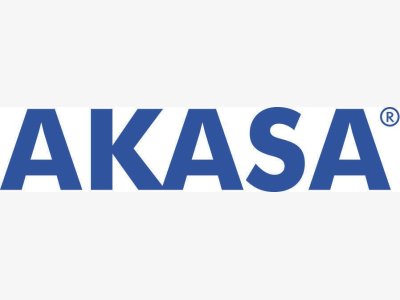 Presupuesto especial Email