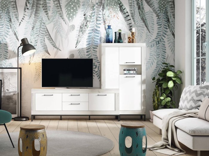 Conjunto muebles salón...